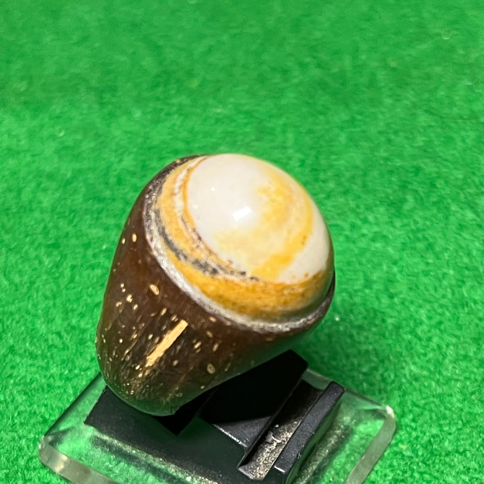 Batu Akik Puser Bumi Ring Batok Kelapa