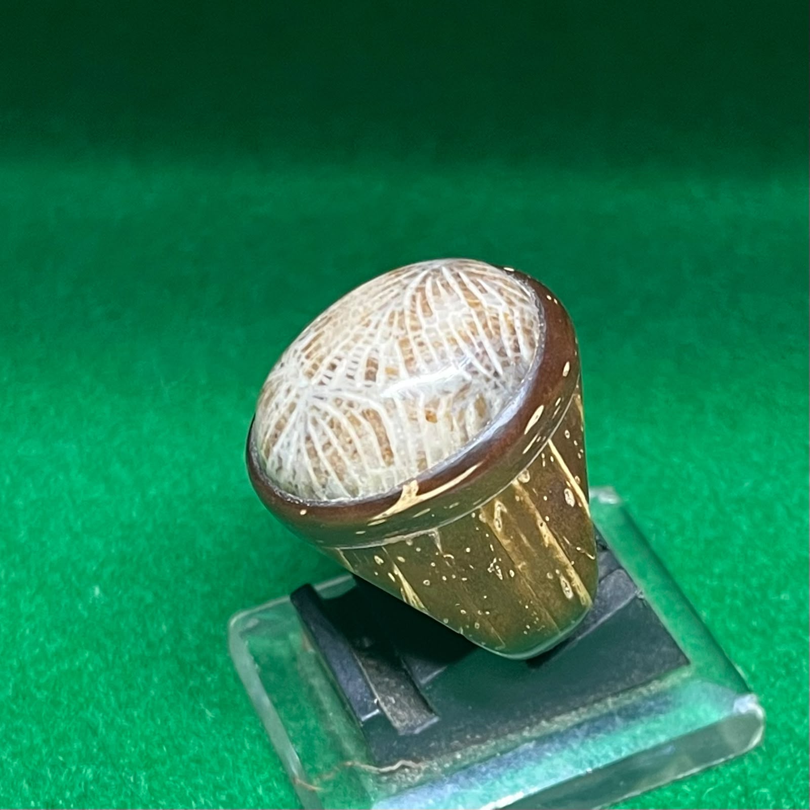 Batu Akik Teratai Motif Lipan