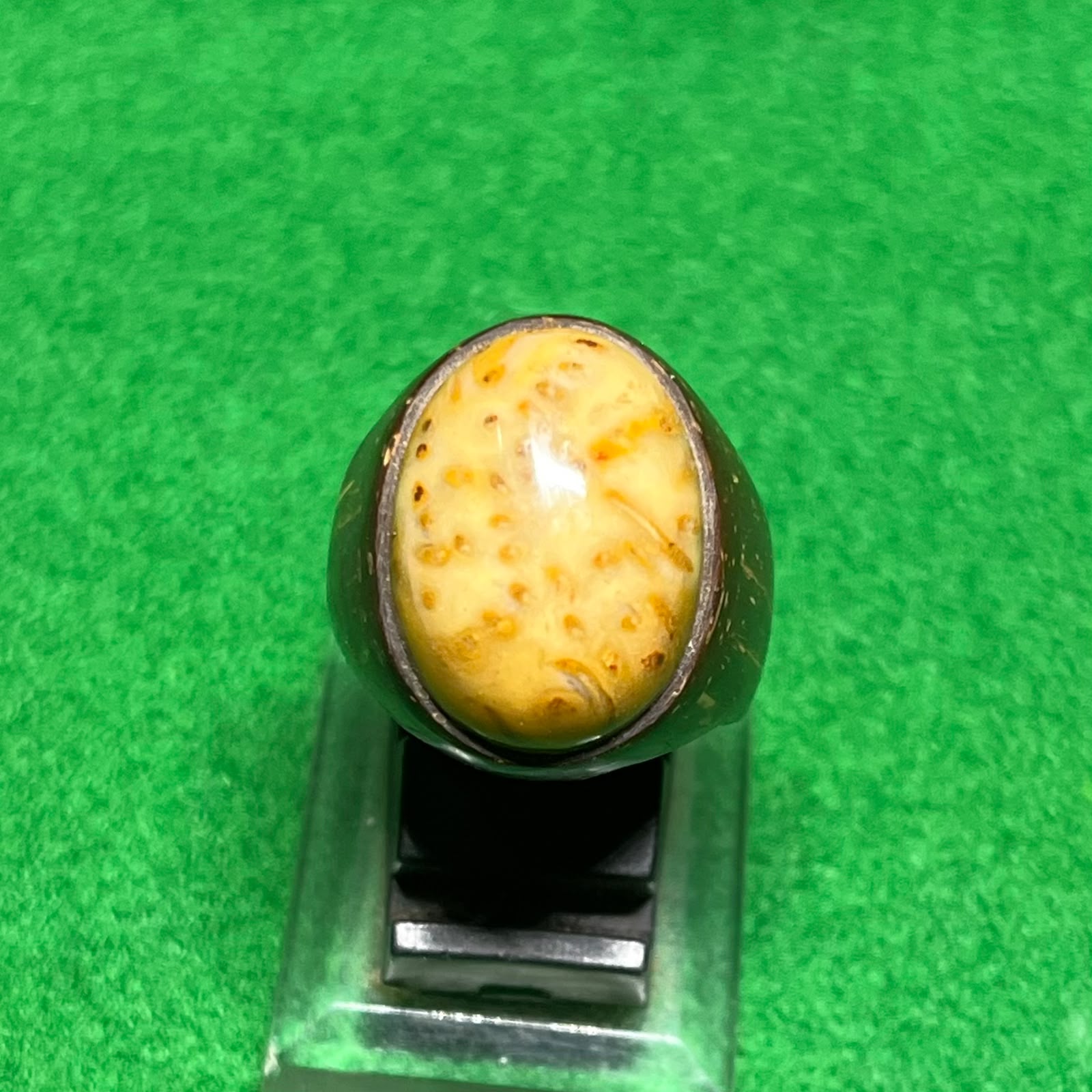 Batu Fosil Bambu Kuning Motif Macan Tutul
