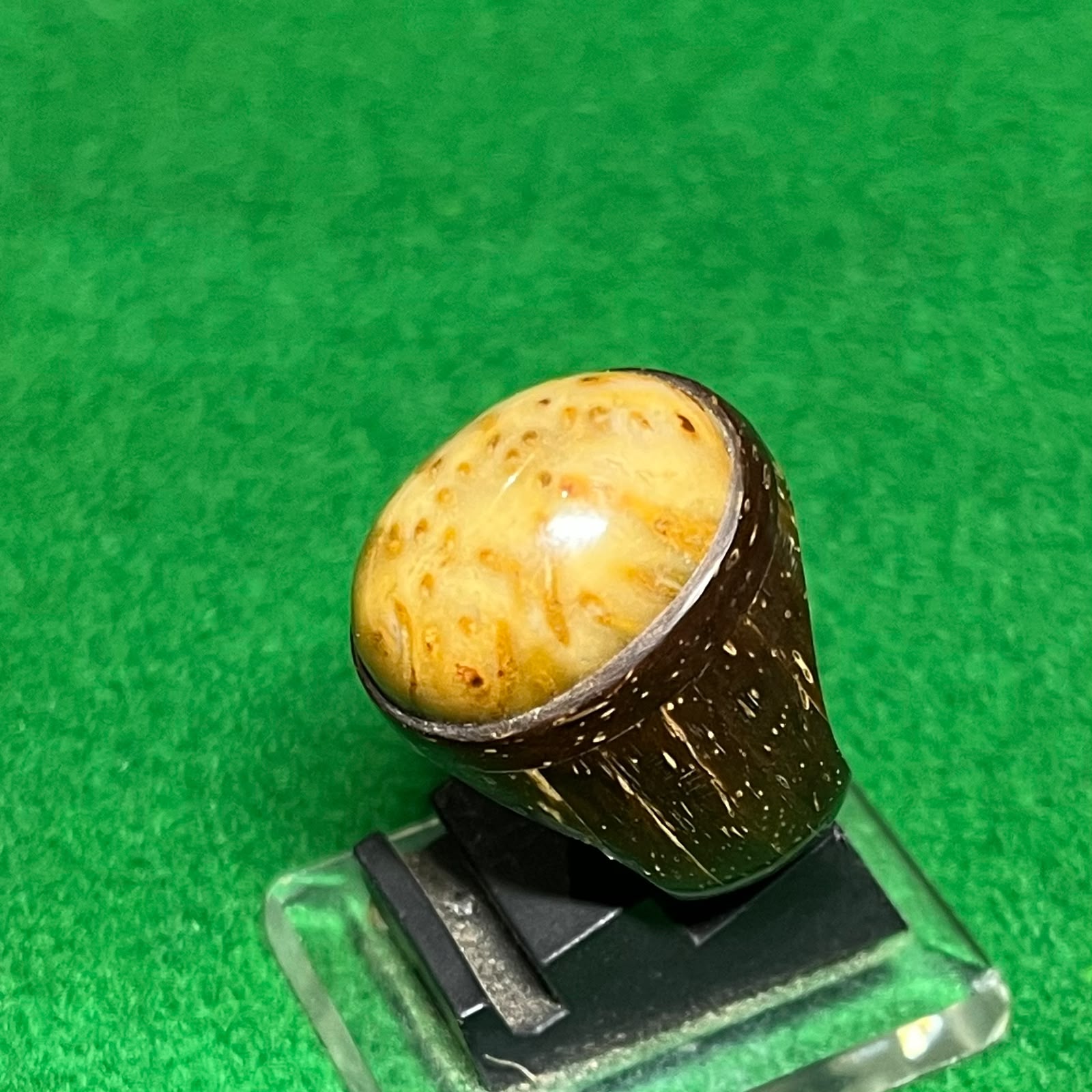 Batu Fosil Bambu Kuning Motif Macan Tutul