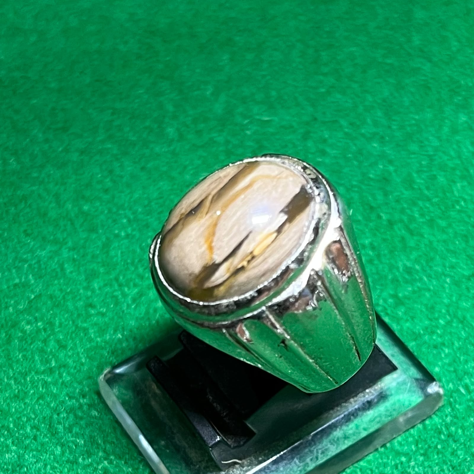Batu Fosil Kayu Serat Alami