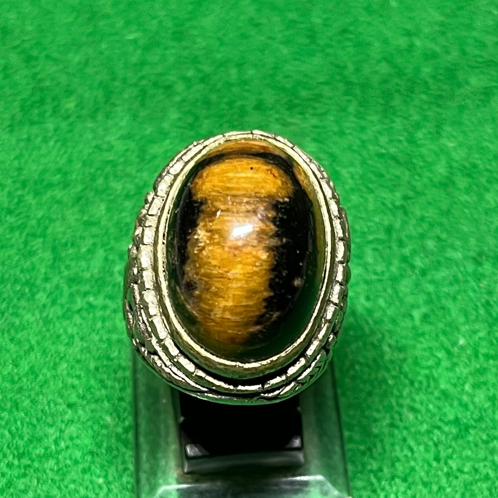 Batu Fosil Kelor Macan / Les Kelor
