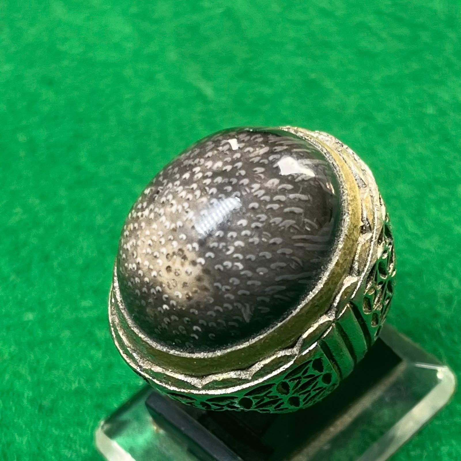 Batu Fosil Kelor Motif Kulit Pari
