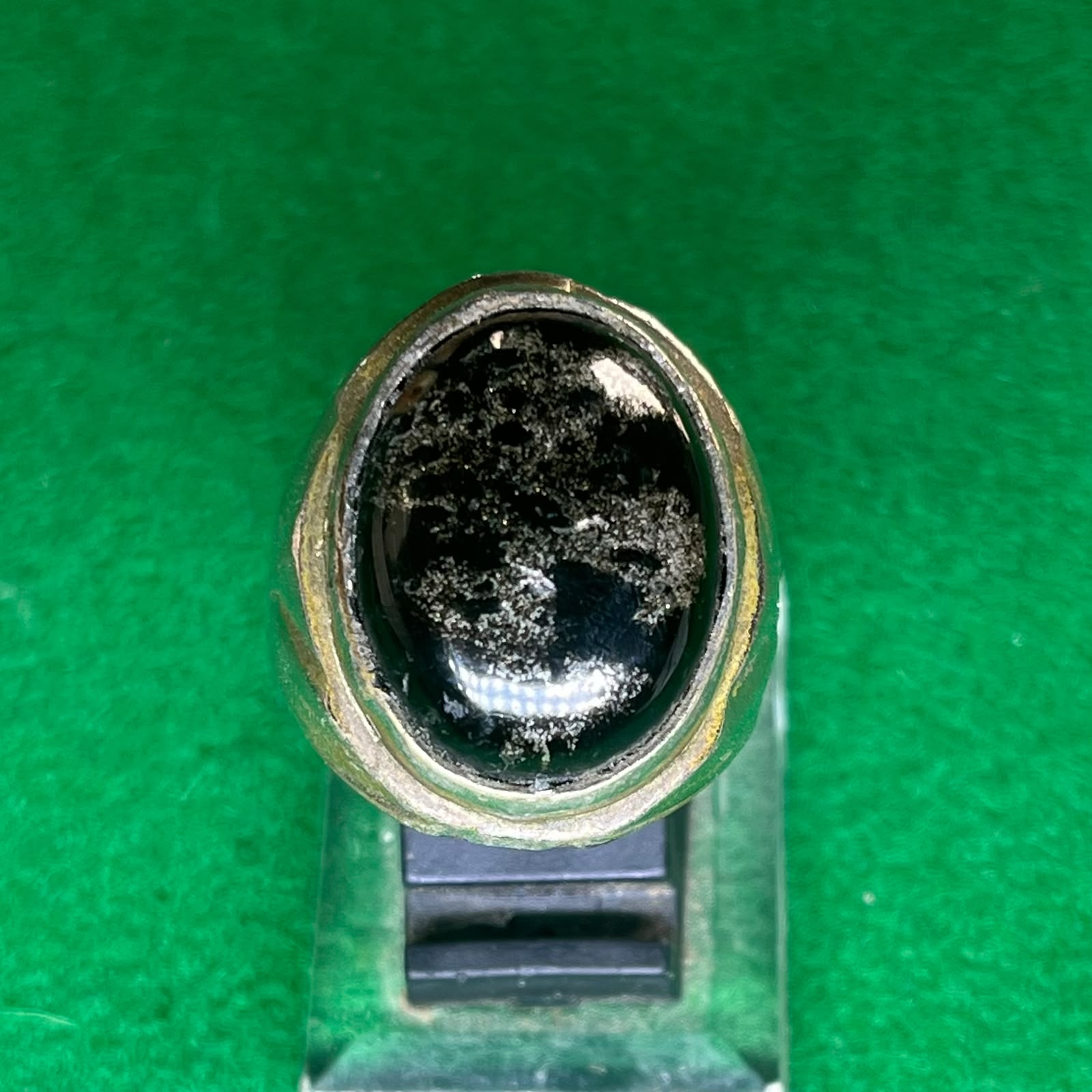 Batu Fosil Kelor Naga Emas
