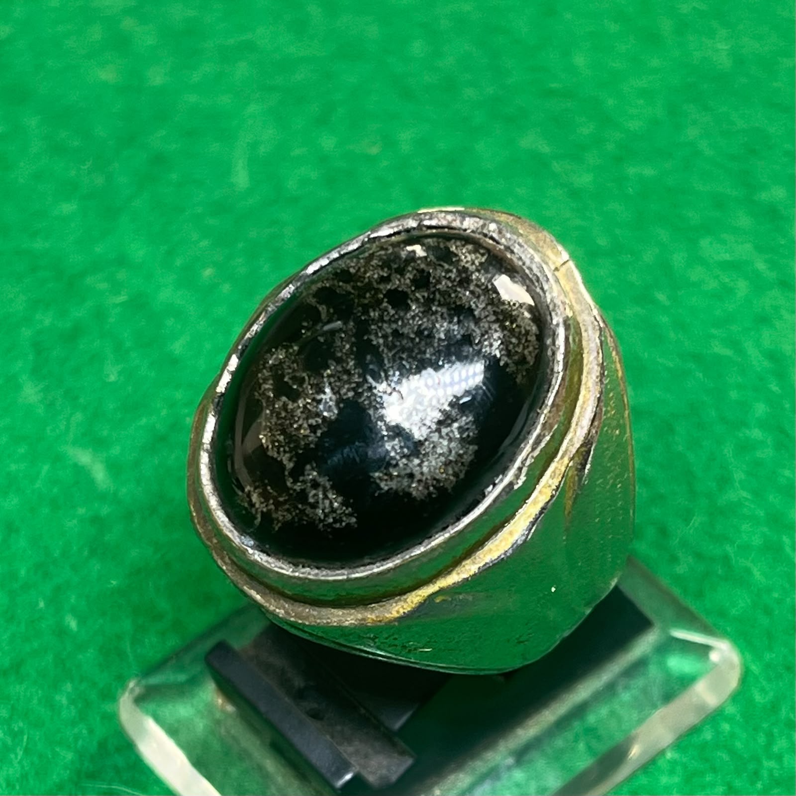 Batu Fosil Kelor Naga Emas
