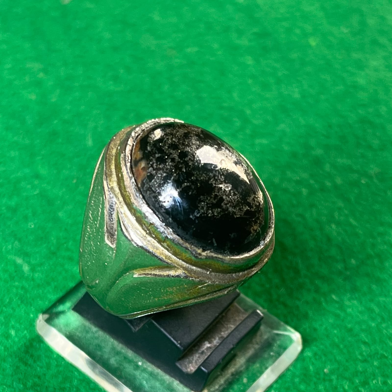Batu Fosil Kelor Naga Emas
