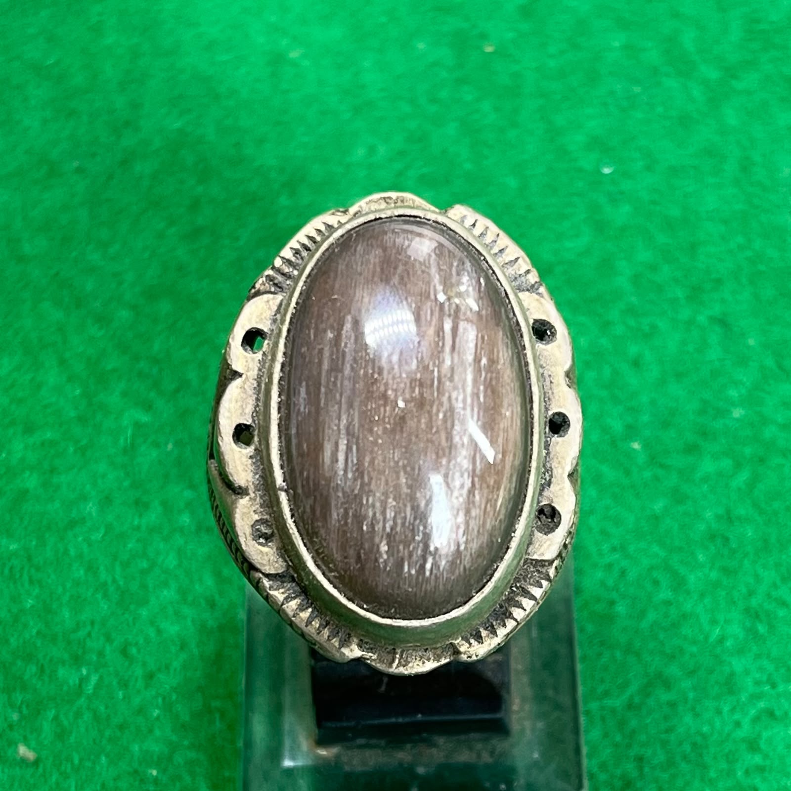 Batu Fosil Kelor Natural