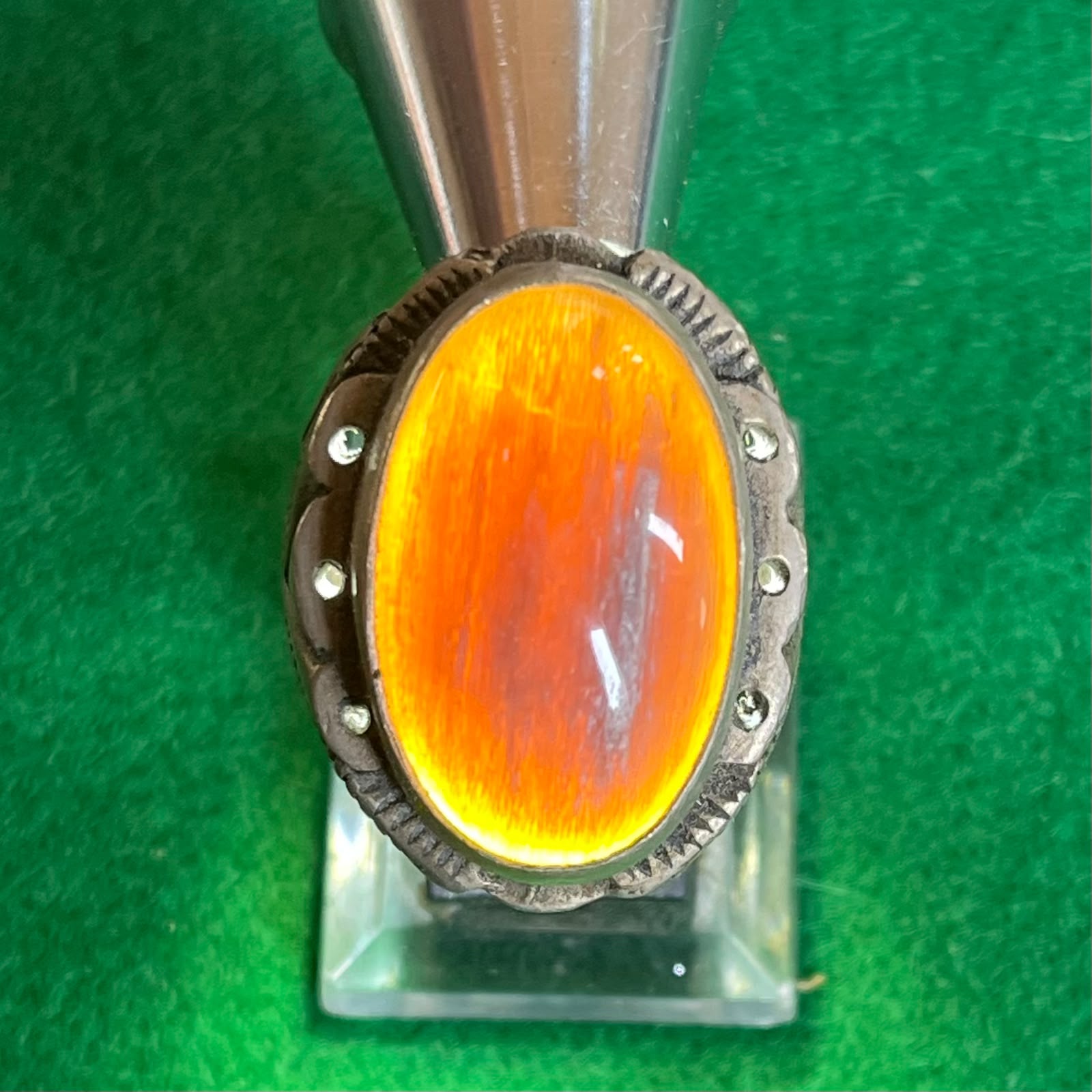 Batu Fosil Kelor Natural