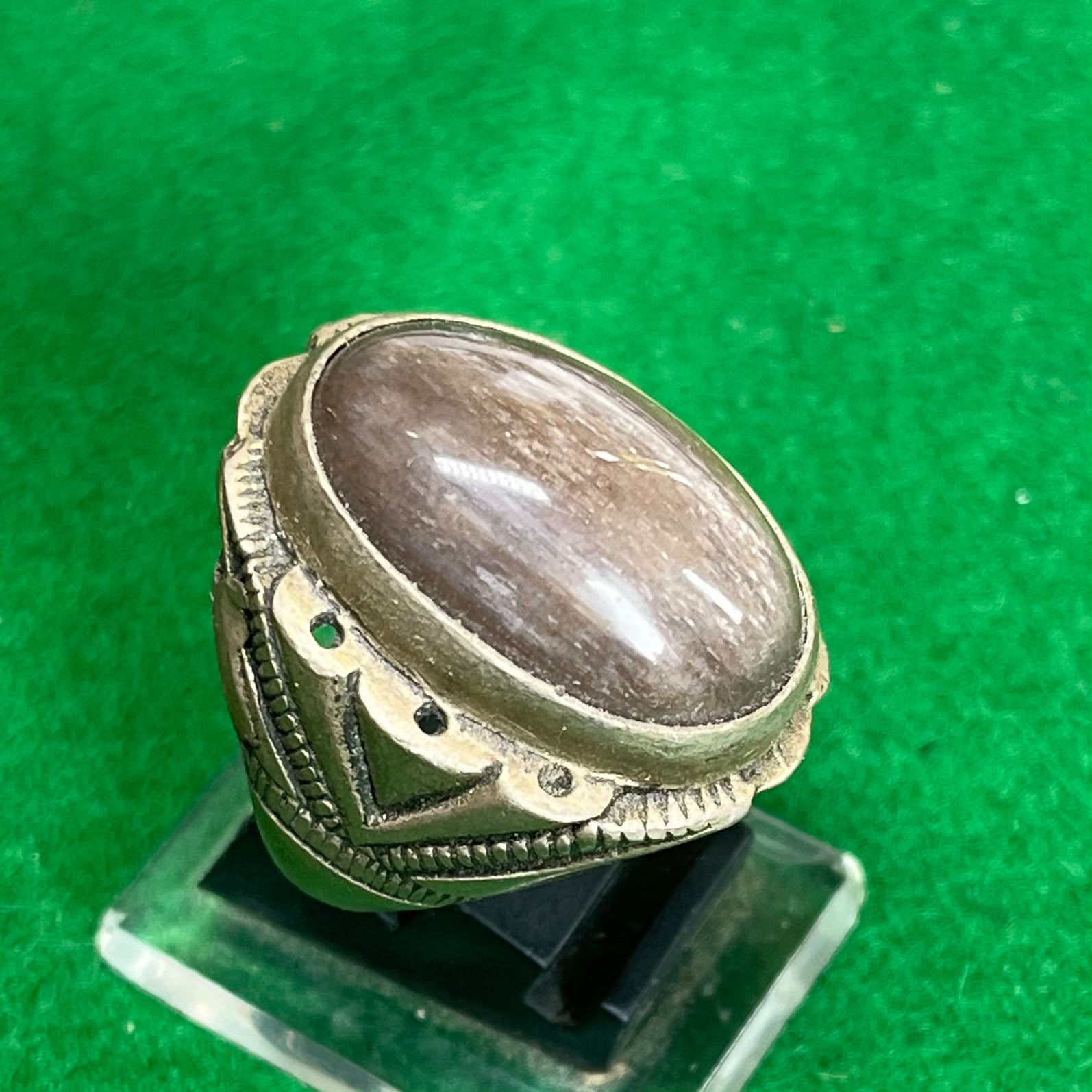 Batu Fosil Kelor Natural