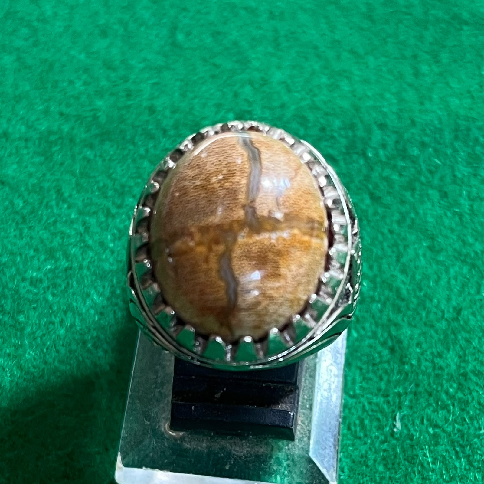 Batu Fosil Motif Tapak Jalak