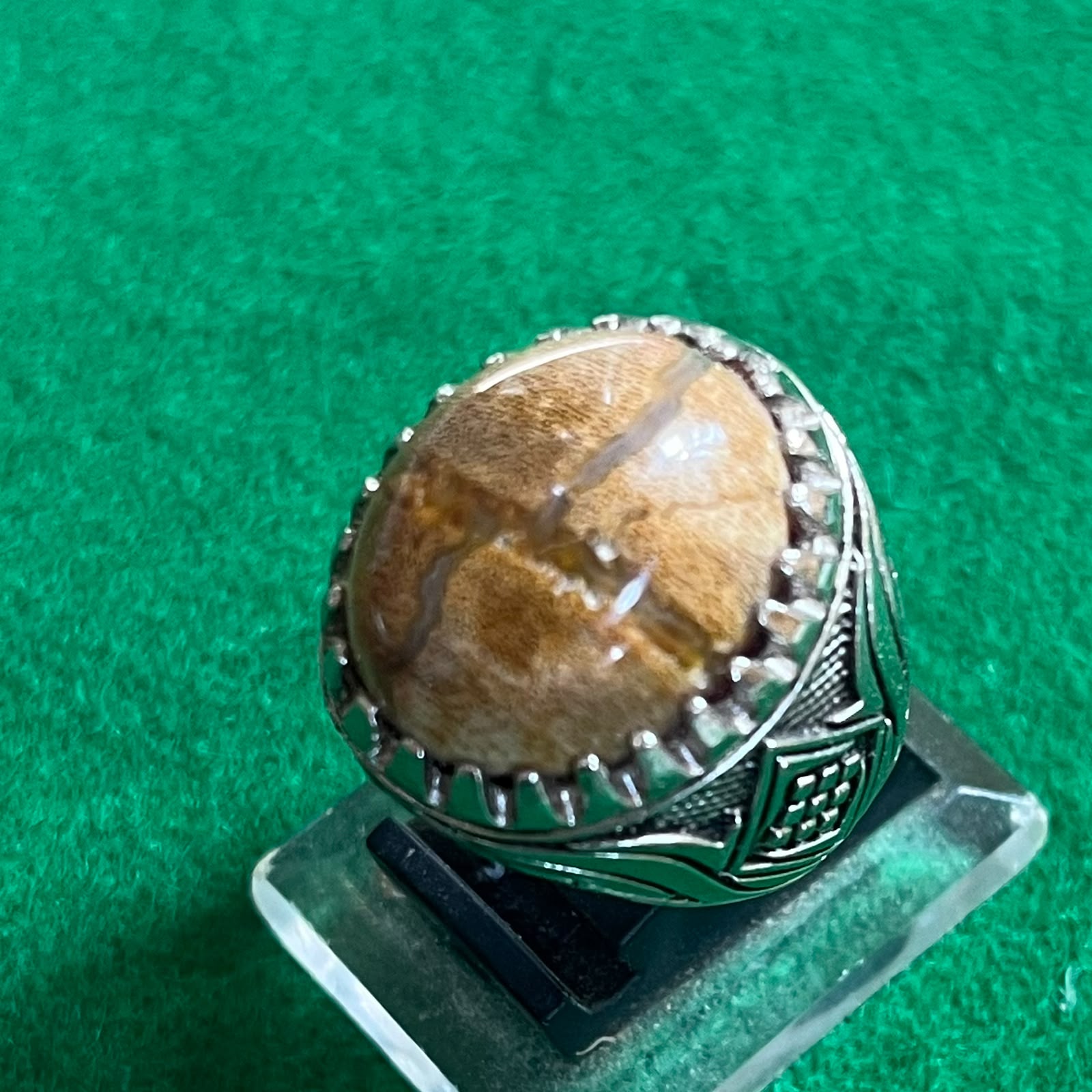 Batu Fosil Motif Tapak Jalak