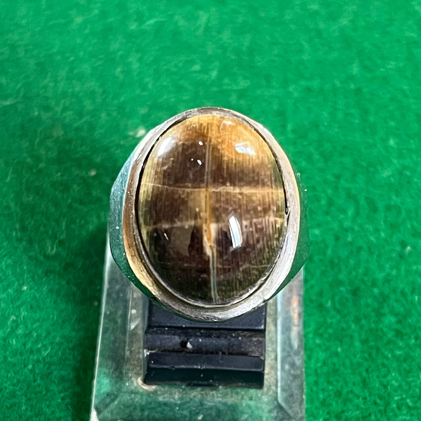 Batu Fosil Patangarah