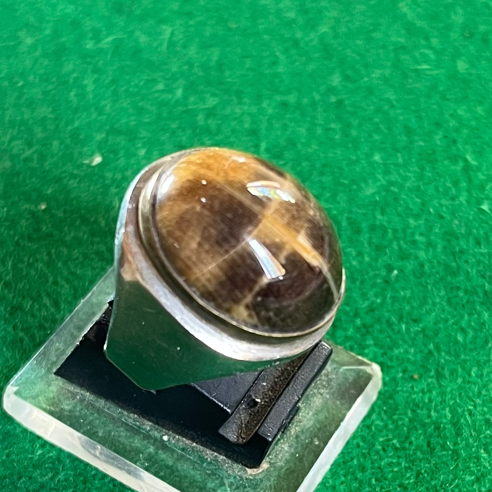 Batu Fosil Patangarah