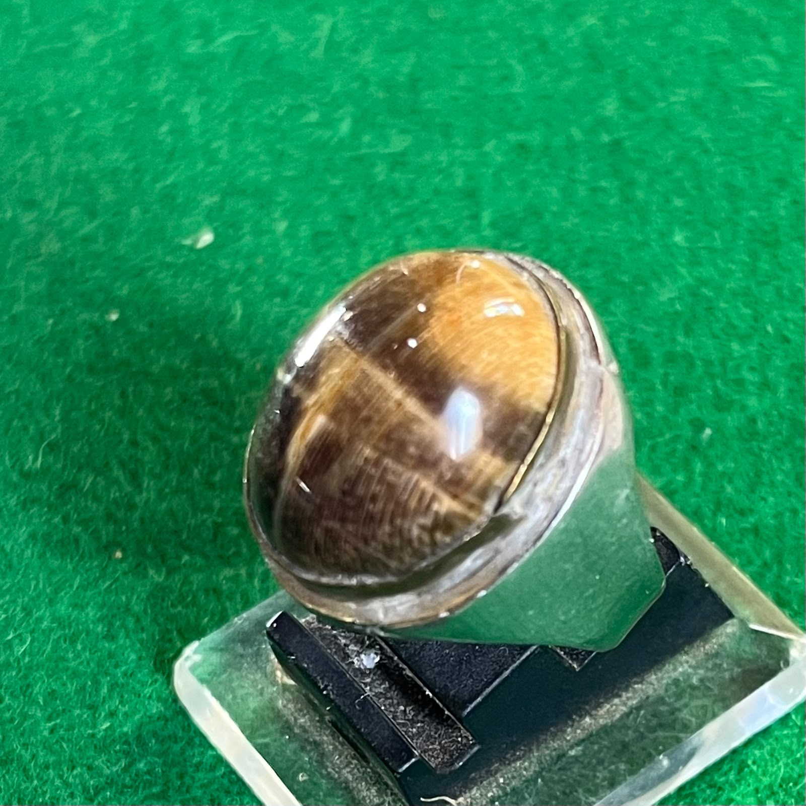 Batu Fosil Patangarah