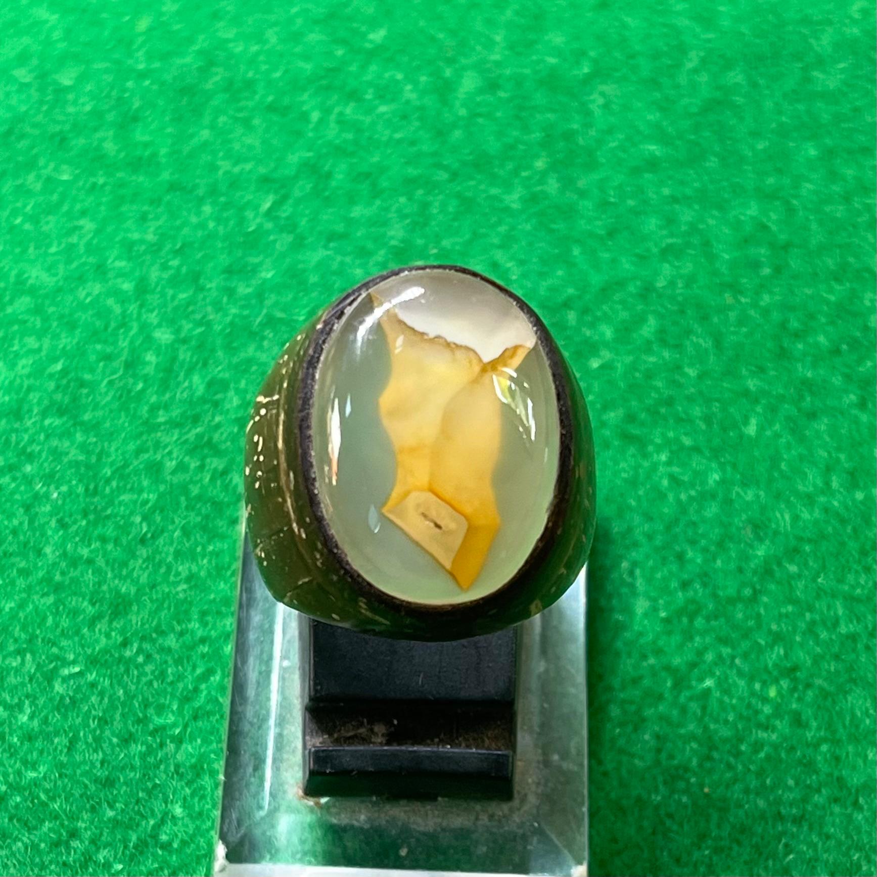Batu Kantong Semar Ring Batok Kelapa