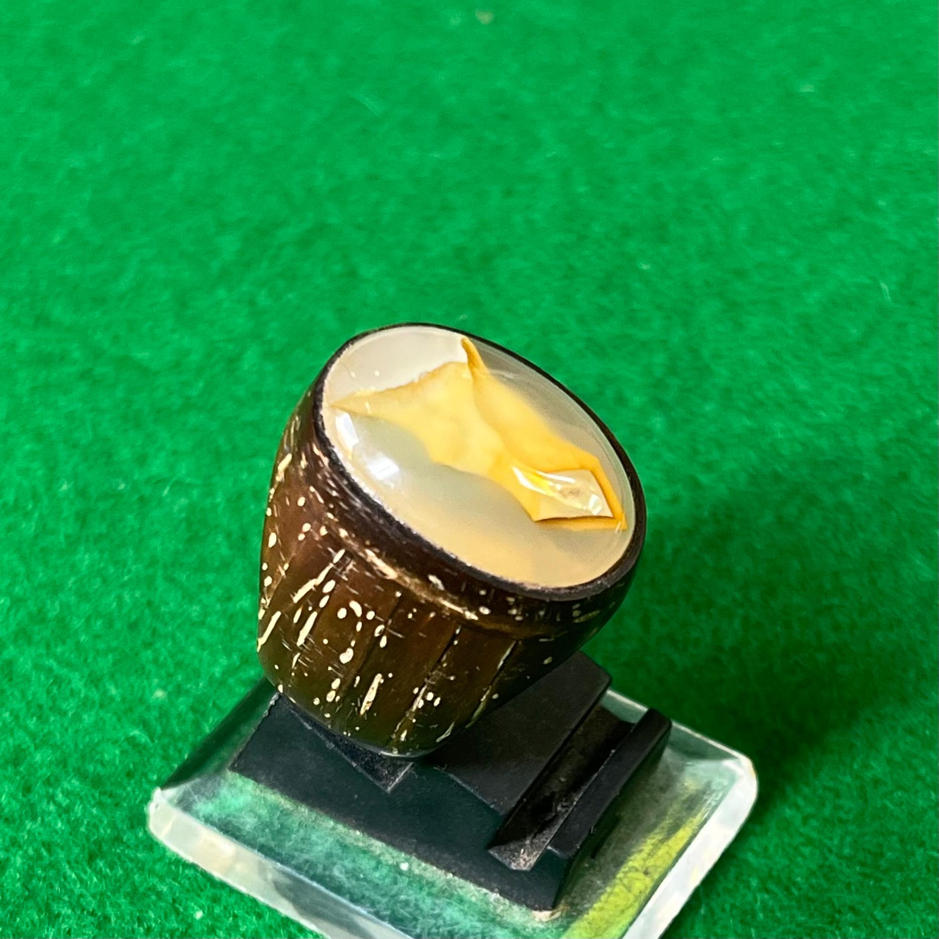 Batu Kantong Semar Ring Batok Kelapa