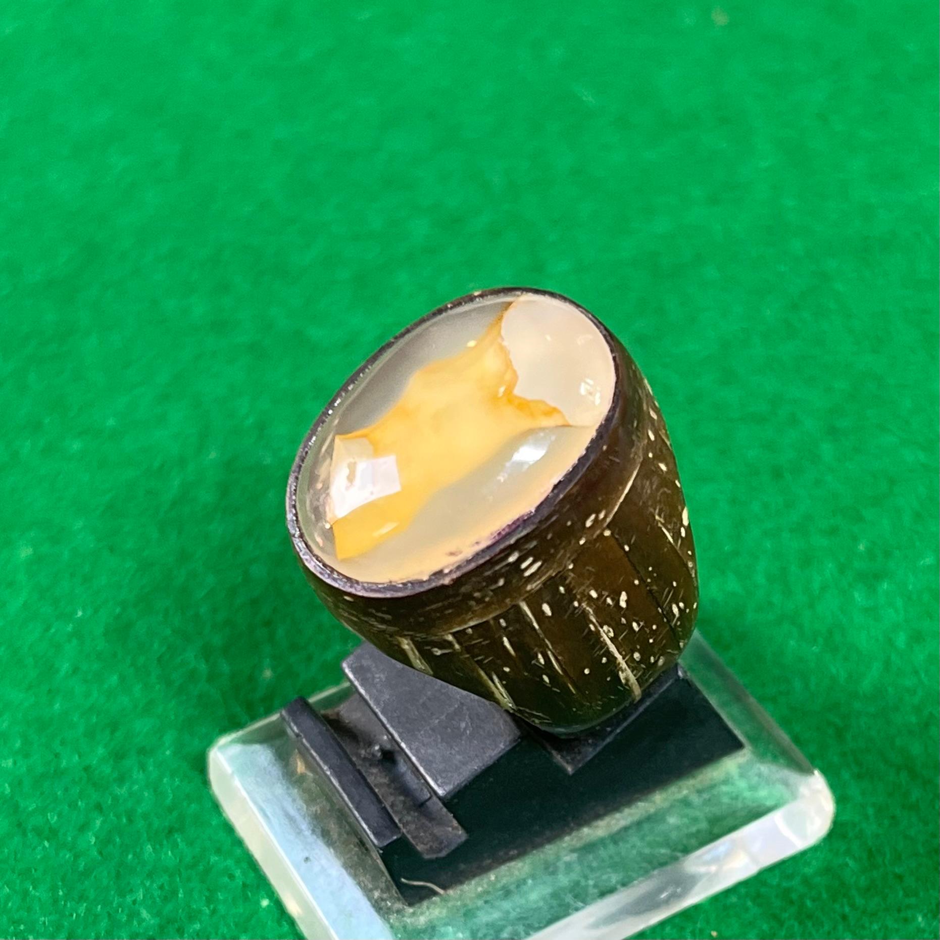 Batu Kantong Semar Ring Batok Kelapa